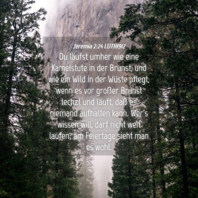 Picture 04 - Jeremia 2:24 LUTH1912 - Du läufst umher wie eine Kamelstute in der - Bible Verse Picture