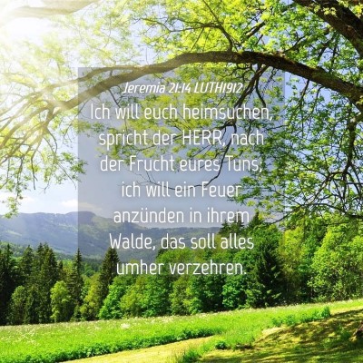 Picture 04 - Jeremia 21:14 LUTH1912 - Ich will euch heimsuchen, spricht der HERR, nach - Bible Verse Picture