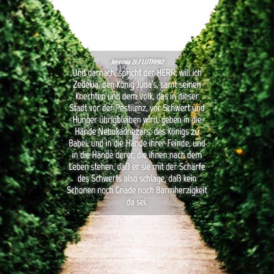 Picture 04 - Jeremia 21:7 LUTH1912 - Und darnach, spricht der HERR, will ich Zedekia, - Bible Verse Picture
