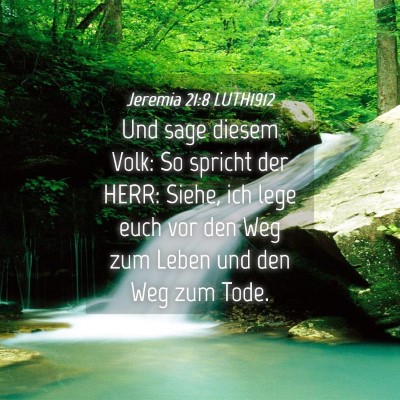 Picture 04 - Jeremia 21:8 LUTH1912 - Und sage diesem Volk: So spricht der HERR: Siehe, - Bible Verse Picture