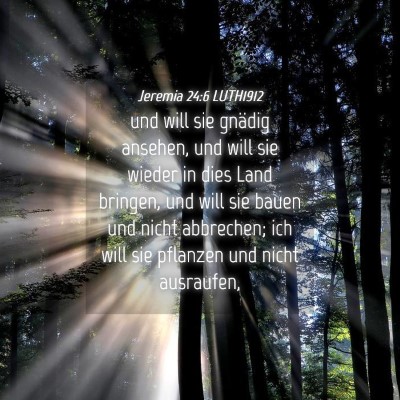Picture 04 - Jeremia 24:6 LUTH1912 - und will sie gnädig ansehen, und will sie wieder - Bible Verse Picture