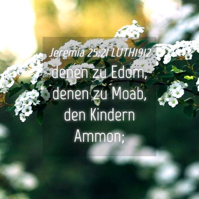 Picture 04 - Jeremia 25:21 LUTH1912 - denen zu Edom, denen zu Moab, den Kindern - Bible Verse Picture