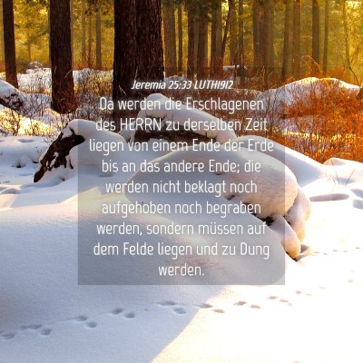 Picture 04 - Jeremia 25:33 LUTH1912 - Da werden die Erschlagenen des HERRN zu derselben - Bible Verse Picture