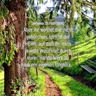 Picture 04 - Jeremia 25:7 LUTH1912 - Aber ihr wolltet mir nicht gehorchen, spricht der - Bible Verse Picture