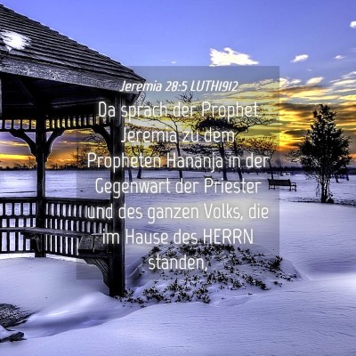 Picture 04 - Jeremia 28:5 LUTH1912 - Da sprach der Prophet Jeremia zu dem Propheten - Bible Verse Picture