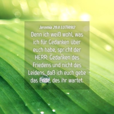 Picture 04 - Jeremia 29:11 LUTH1912 - Denn ich weiß wohl, was ich für Gedanken über - Bible Verse Picture