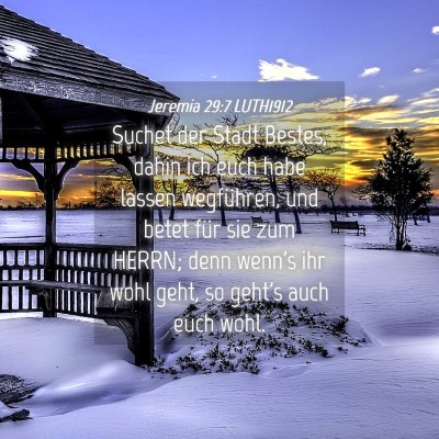 Picture 04 - Jeremia 29:7 LUTH1912 - Suchet der Stadt Bestes, dahin ich euch habe - Bible Verse Picture