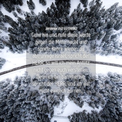 Picture 04 - Jeremia 3:12 LUTH1912 - Gehe hin und rufe diese Worte gegen die - Bible Verse Picture