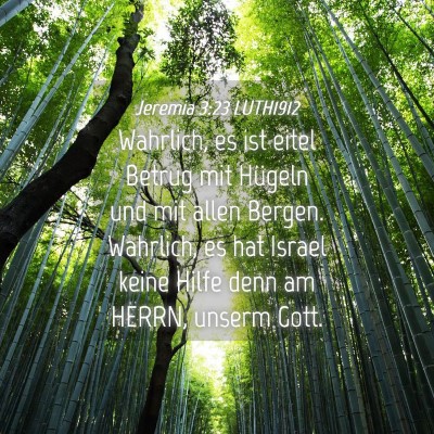 Picture 04 - Jeremia 3:23 LUTH1912 - Wahrlich, es ist eitel Betrug mit Hügeln und mit - Bible Verse Picture