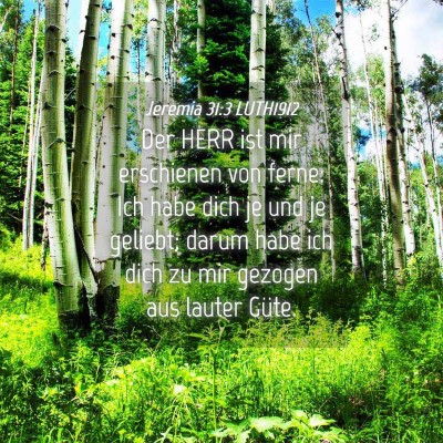 Picture 04 - Jeremia 31:3 LUTH1912 - Der HERR ist mir erschienen von ferne: Ich habe - Bible Verse Picture