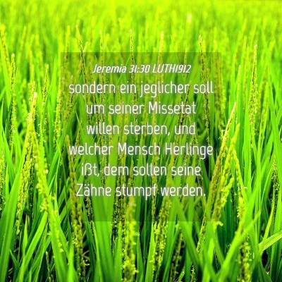 Picture 04 - Jeremia 31:30 LUTH1912 - sondern ein jeglicher soll um seiner Missetat - Bible Verse Picture