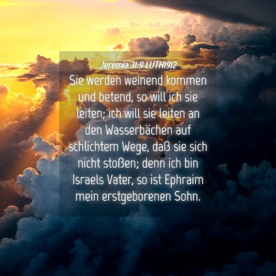 Picture 04 - Jeremia 31:9 LUTH1912 - Sie werden weinend kommen und betend, so will ich - Bible Verse Picture