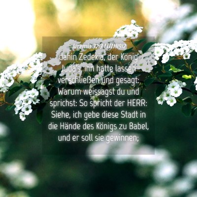 Picture 04 - Jeremia 32:3 LUTH1912 - dahin Zedekia, der König Juda's, ihn hatte - Bible Verse Picture