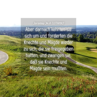 Picture 04 - Jeremia 34:11 LUTH1912 - Aber darnach kehrten sie sich um und forderten - Bible Verse Picture