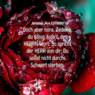 Picture 04 - Jeremia 34:4 LUTH1912 - Doch aber höre, Zedekia, du König Juda's, des - Bible Verse Picture