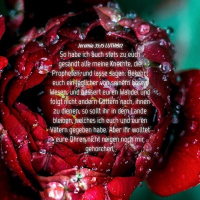 Picture 04 - Jeremia 35:15 LUTH1912 - So habe ich auch stets zu euch gesandt alle meine - Bible Verse Picture