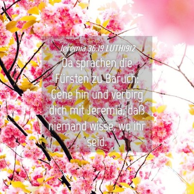 Picture 04 - Jeremia 36:19 LUTH1912 - Da sprachen die Fürsten zu Baruch: Gehe hin und - Bible Verse Picture