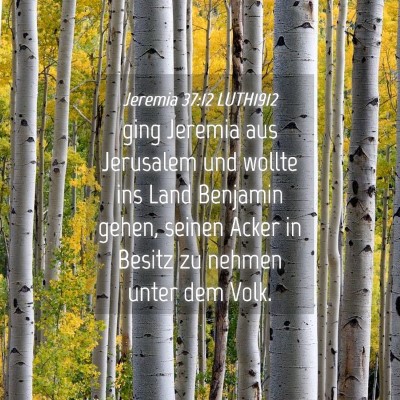 Picture 04 - Jeremia 37:12 LUTH1912 - ging Jeremia aus Jerusalem und wollte ins Land - Bible Verse Picture