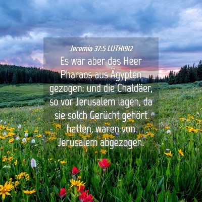 Picture 04 - Jeremia 37:5 LUTH1912 - Es war aber das Heer Pharaos aus Ägypten - Bible Verse Picture