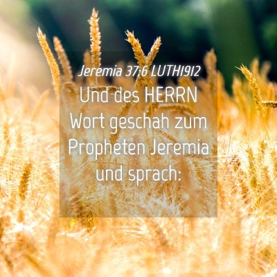 Picture 04 - Jeremia 37:6 LUTH1912 - Und des HERRN Wort geschah zum Propheten Jeremia - Bible Verse Picture