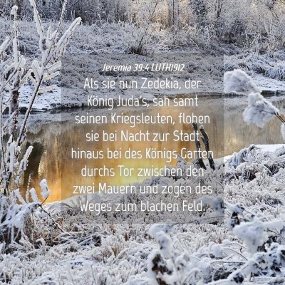 Picture 04 - Jeremia 39:4 LUTH1912 - Als sie nun Zedekia, der König Juda's, sah samt - Bible Verse Picture