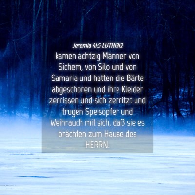Picture 04 - Jeremia 41:5 LUTH1912 - kamen achtzig Männer von Sichem, von Silo und - Bible Verse Picture