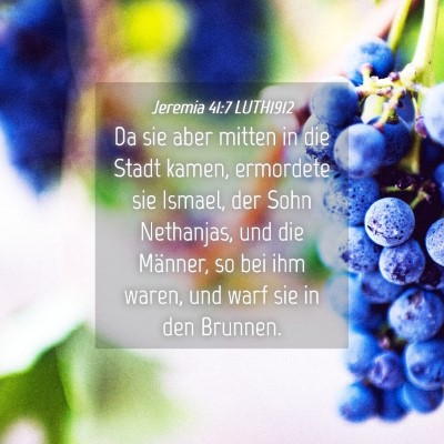Picture 04 - Jeremia 41:7 LUTH1912 - Da sie aber mitten in die Stadt kamen, ermordete - Bible Verse Picture