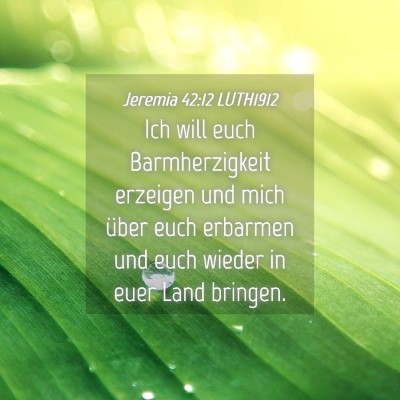Picture 04 - Jeremia 42:12 LUTH1912 - Ich will euch Barmherzigkeit erzeigen und mich - Bible Verse Picture