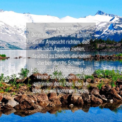 Picture 04 - Jeremia 42:17 LUTH1912 - Denn sie seien, wer sie wollen, die ihr Angesicht - Bible Verse Picture