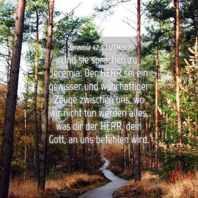 Picture 04 - Jeremia 42:5 LUTH1912 - Und sie sprachen zu Jeremia: Der HERR sei ein - Bible Verse Picture