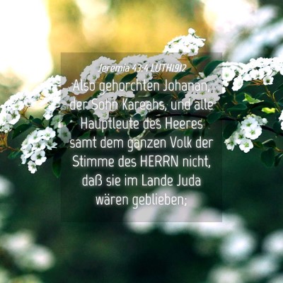 Picture 04 - Jeremia 43:4 LUTH1912 - Also gehorchten Johanan, der Sohn Kareahs, und - Bible Verse Picture