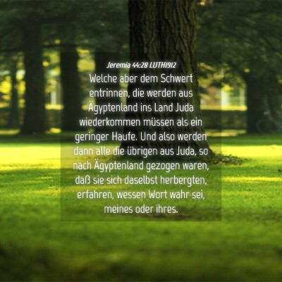 Picture 04 - Jeremia 44:28 LUTH1912 - Welche aber dem Schwert entrinnen, die werden aus - Bible Verse Picture