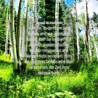 Picture 04 - Jeremia 46:21 LUTH1912 - Auch die, so darin um Sold dienen, sind wie - Bible Verse Picture