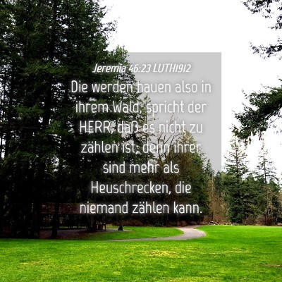 Picture 04 - Jeremia 46:23 LUTH1912 - Die werden hauen also in ihrem Wald, spricht der - Bible Verse Picture