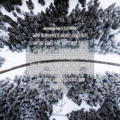 Picture 04 - Jeremia 46:5 LUTH1912 - Wie kommt's aber, daß ich sehe, daß sie verzagt - Bible Verse Picture