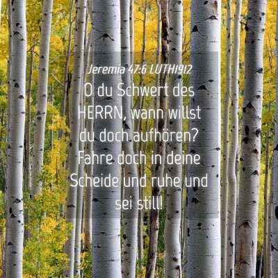 Picture 04 - Jeremia 47:6 LUTH1912 - O du Schwert des HERRN, wann willst du doch - Bible Verse Picture