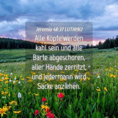 Picture 04 - Jeremia 48:37 LUTH1912 - Alle Köpfe werden kahl sein und alle Bärte - Bible Verse Picture