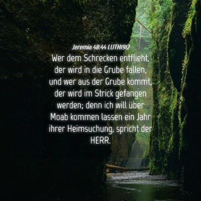 Picture 04 - Jeremia 48:44 LUTH1912 - Wer dem Schrecken entflieht, der wird in die - Bible Verse Picture