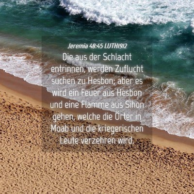 Picture 04 - Jeremia 48:45 LUTH1912 - Die aus der Schlacht entrinnen, werden Zuflucht - Bible Verse Picture
