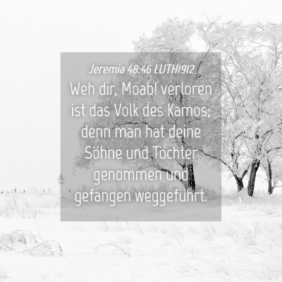 Picture 04 - Jeremia 48:46 LUTH1912 - Weh dir, Moab! verloren ist das Volk des Kamos; - Bible Verse Picture