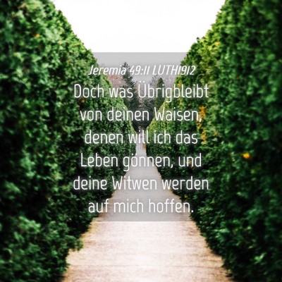 Picture 04 - Jeremia 49:11 LUTH1912 - Doch was Übrigbleibt von deinen Waisen, denen - Bible Verse Picture