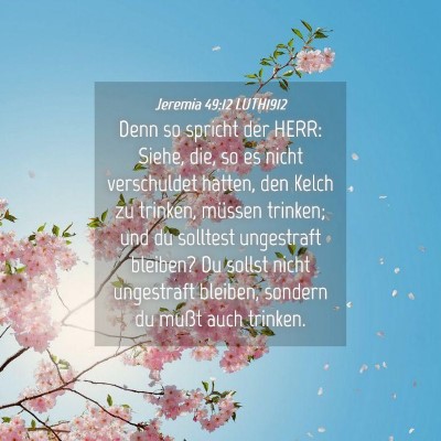 Picture 04 - Jeremia 49:12 LUTH1912 - Denn so spricht der HERR: Siehe, die, so es nicht - Bible Verse Picture