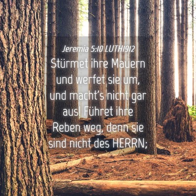 Picture 04 - Jeremia 5:10 LUTH1912 - Stürmet ihre Mauern und werfet sie um, und - Bible Verse Picture