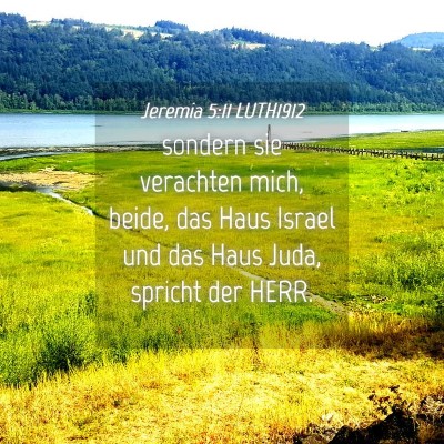 Picture 04 - Jeremia 5:11 LUTH1912 - sondern sie verachten mich, beide, das Haus - Bible Verse Picture