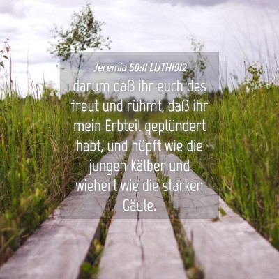 Picture 04 - Jeremia 50:11 LUTH1912 - darum daß ihr euch des freut und rühmt, daß - Bible Verse Picture