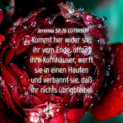 Picture 04 - Jeremia 50:26 LUTH1912 - Kommt her wider sie, ihr vom Ende, öffnet ihre - Bible Verse Picture