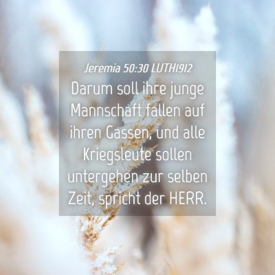 Picture 04 - Jeremia 50:30 LUTH1912 - Darum soll ihre junge Mannschaft fallen auf ihren - Bible Verse Picture