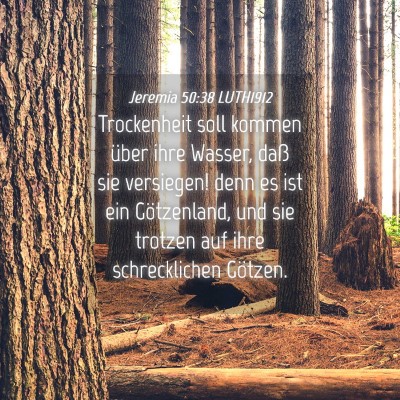 Picture 04 - Jeremia 50:38 LUTH1912 - Trockenheit soll kommen über ihre Wasser, daß - Bible Verse Picture