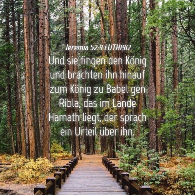 Picture 04 - Jeremia 52:9 LUTH1912 - Und sie fingen den König und brachten ihn hinauf - Bible Verse Picture