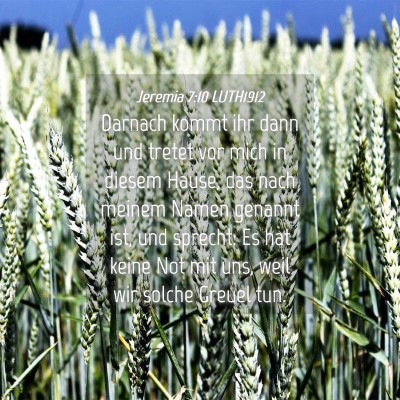 Picture 04 - Jeremia 7:10 LUTH1912 - Darnach kommt ihr dann und tretet vor mich in - Bible Verse Picture